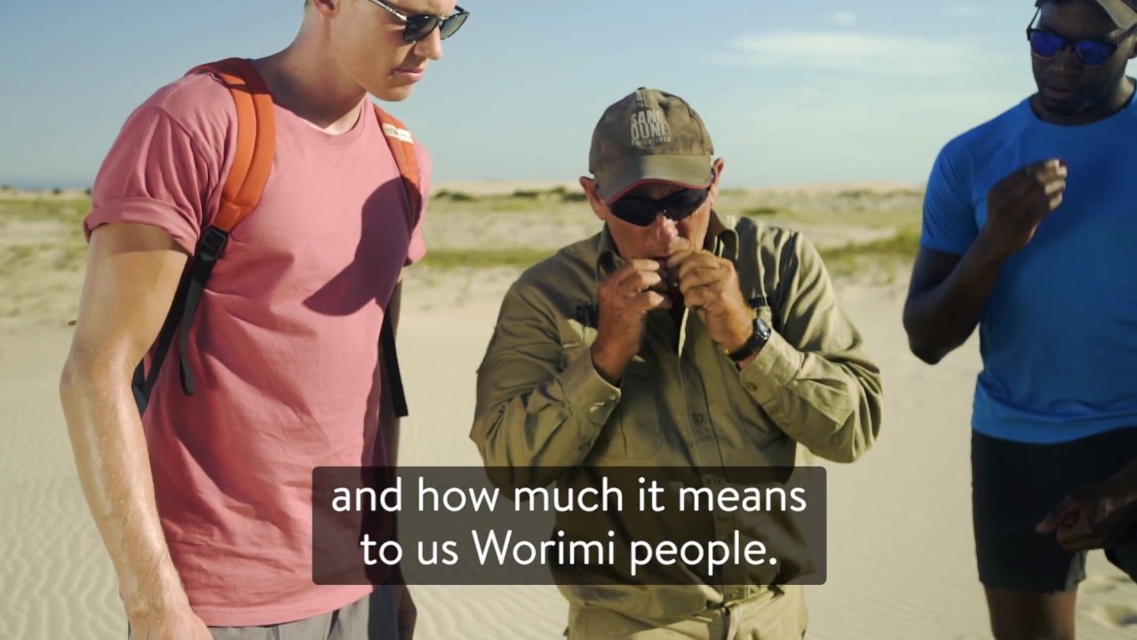 whales breaching Worimi Weekend Sand Dune Experience | #NSWParks