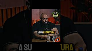 Como saber se tenho uma boa genética? #treino #academia #hipertrofia