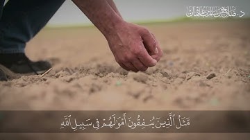 مَّثَلُ الَّذِينَ يُنفِقُونَ أَمْوَالَهُمْ فِي سَبِيلِ اللَّهِ | سورة البقرة | آية 261
