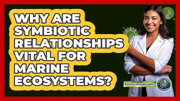 Why Are Symbiotic Relationships Vital For Marine Ecosystems? - Earth Science Answers