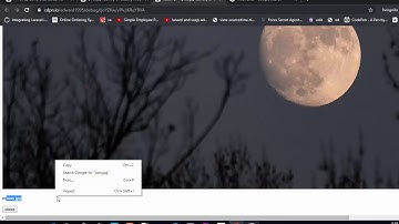 【Vue js】  identify or classify image using mobilenet and tensorflow js