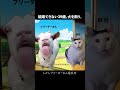 結婚できない39歳、犬を飼う。 #猫ミーム