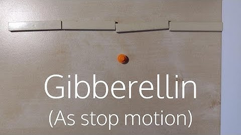 The EPIC Gibberellin Signaling Pathway (stop motion)