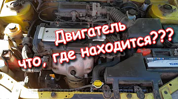 Что находится под капотом автомобиля (основные элементы)