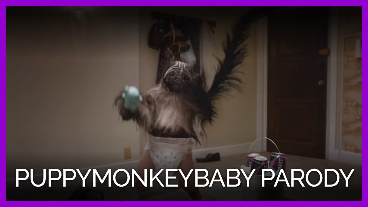 PETA’s Puppymonkeybaby Parody Video