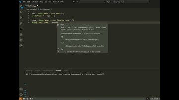 Python User Input Tutorial - input() Function for Beginners