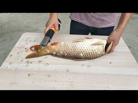 Електрична рибочистка скребок для видалення луски риби, видео 1