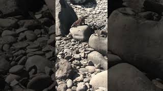 Overview Of Spring Break- Horseback Riding Part Coming Soon