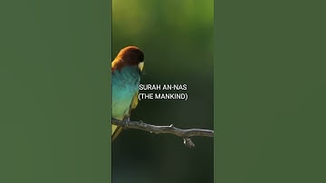 Surah An-Nas (سورة الناس) is the 114th and final chapter of the Quran.