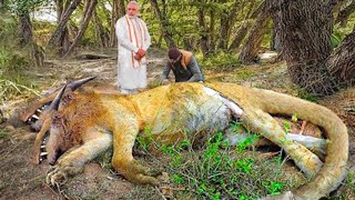 शेर भी कापता है इन जीव को देखकर 05 Dangerous  Mythical Creatures That Actually Existed in real life
