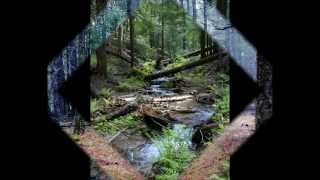 Spirit- "The River" (1996)