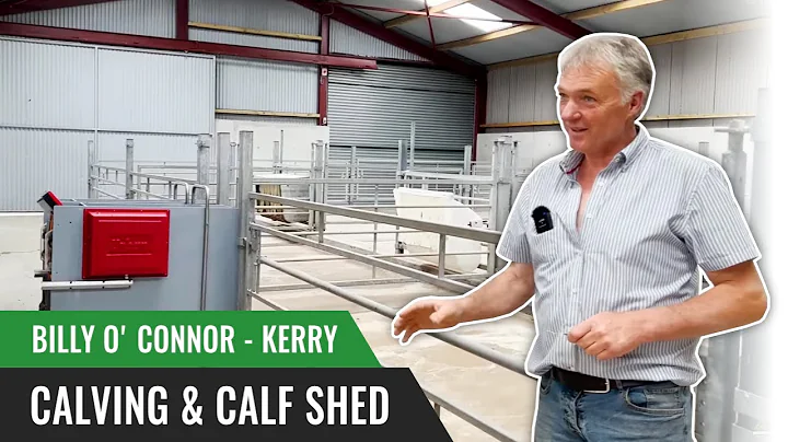 Calving & Calf Shed | Billy O' Connor - Kerry