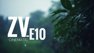 Epic Cinematic With 30mm F1.4 - Sony ZV E10