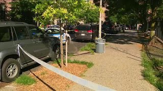 NYC mom shot to death while pushing daughter in stroller