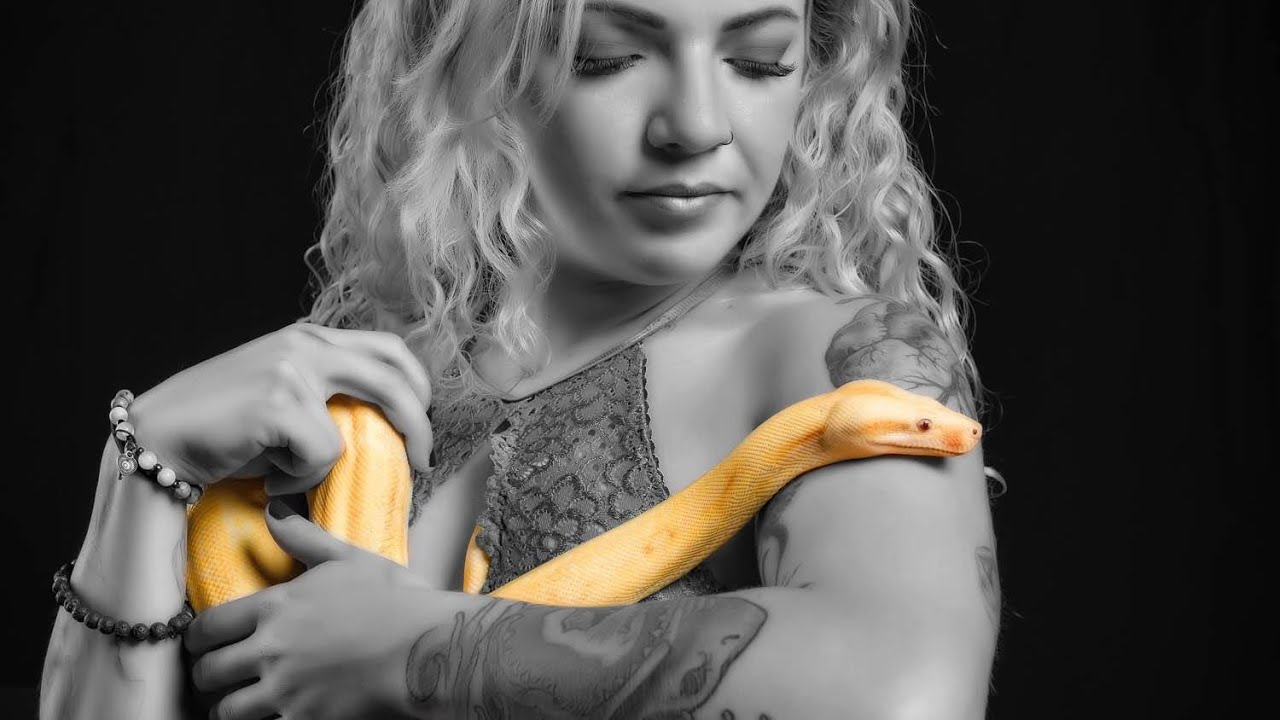 Feeding our Albino Boa Constrictor plus our smallest and largest pet snakes!