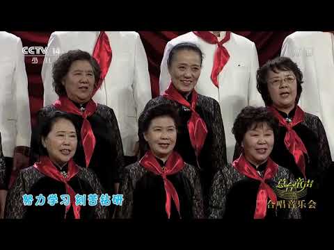 [大手牵小手]《我们要做雷锋式的好少年》 演唱：北京童心合唱团|CCTV少儿