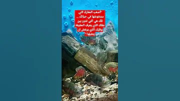 أصعب المعارك التي ستخوضها في حياتك 