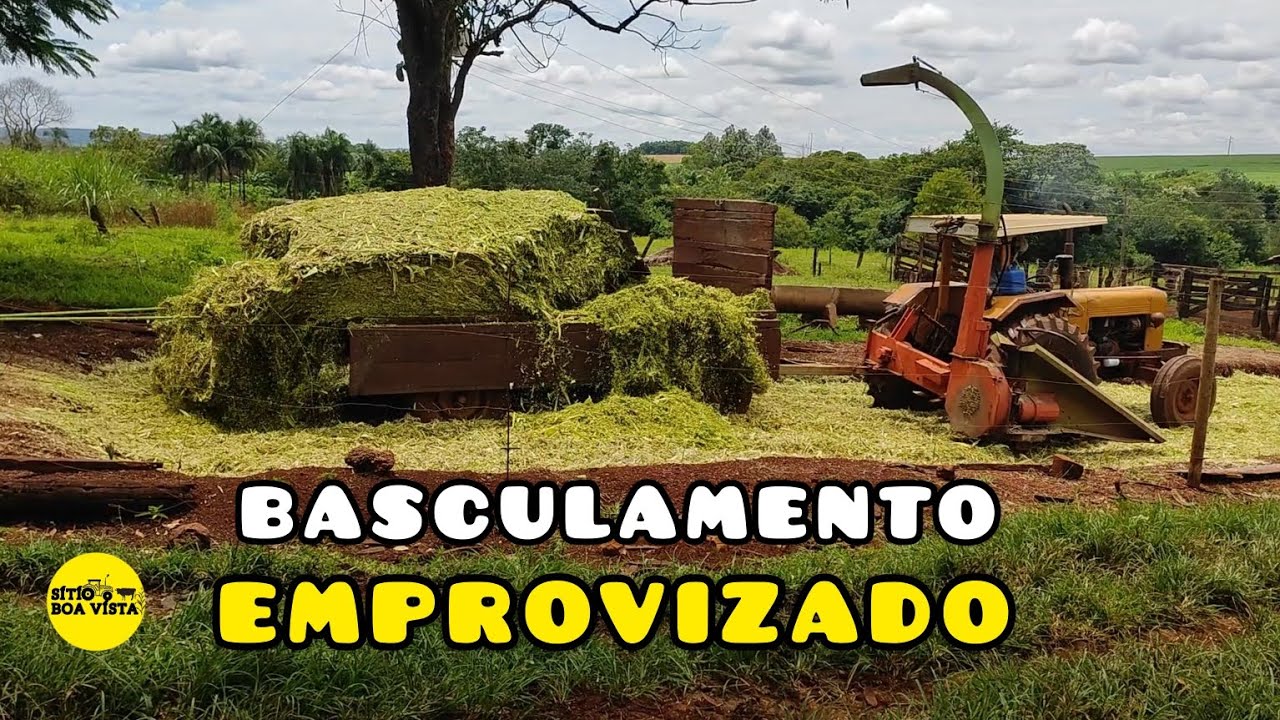 COMO DESCARREGAR SILAGEM DE MILHO FÁCIL COM VALMET 65 ID.  SÍTIO BOA VISTA