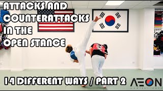 Taekwondo Attacks and Counter Attacks from the Open Stance Part 2 screenshot 4