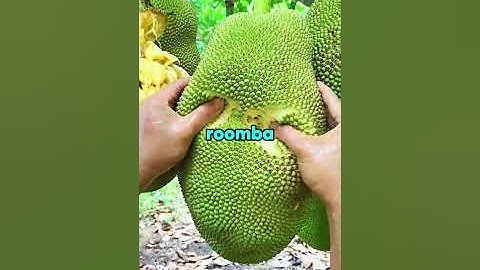 How sleeping in late lazy