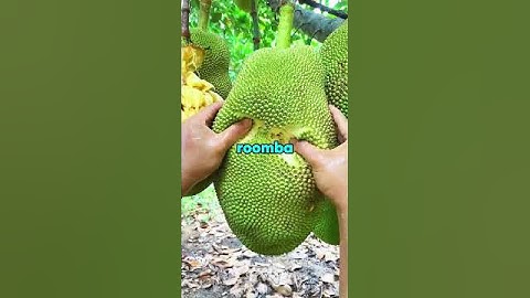 How sleeping in late lazy