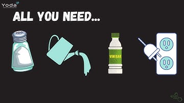 Everything you need to know about Hypochlorous Acid in under 5 minutes!