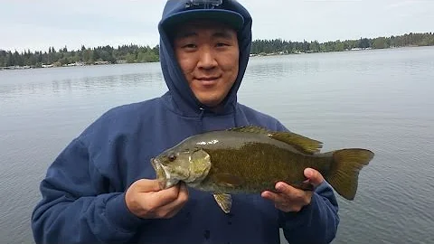 Bass Fishing With The Mitchell 300 & 300 Pro