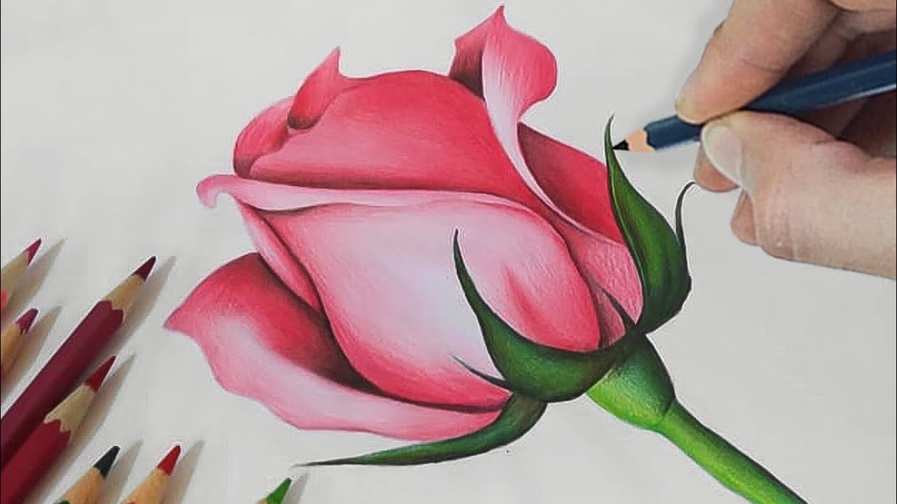 Easy Way To Draw a ROSE with Colored Pencils! (Step-BY-Step) - YouTube