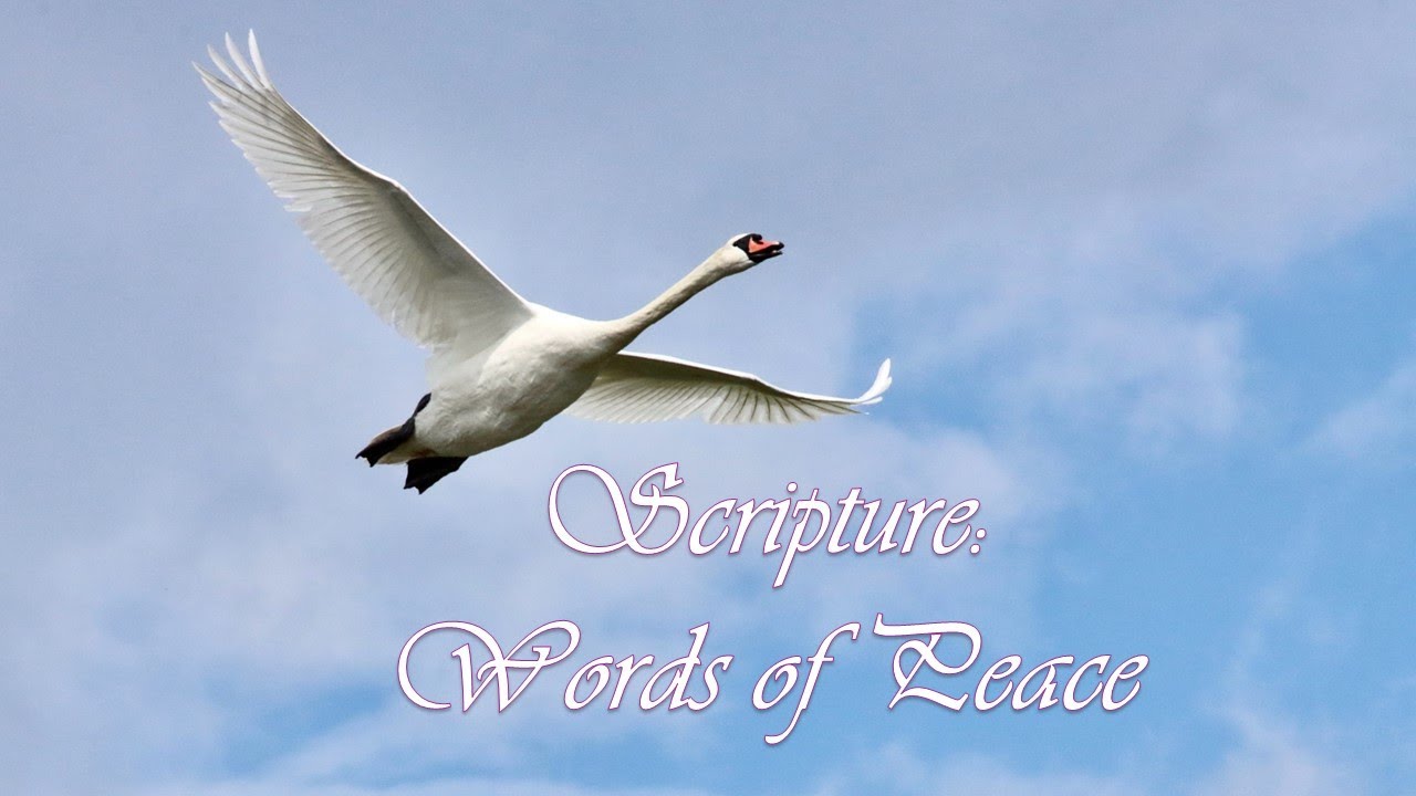 Scriptures About Peace YouTube Scriptures about peace youtube