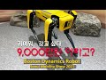 보스턴 다이내믹스 로봇  boston dynamics robot