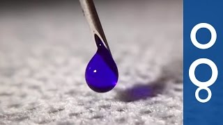The power of plasma - could it help fight diseases?