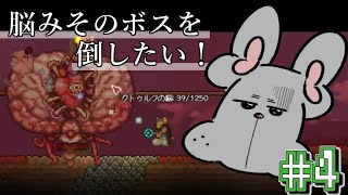 【初テラリア】これ誰の脳みそだーーーッ配信🐶【Terrria】