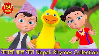 Kukhuri Kaa - Non Stop Nepali Rhymes Playlist | नेपाली बाल गीत | Popular Baby Song Collection