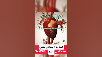 تلاوات الشيخ اسلام صبحي ❤️ ❤️ تلاوات تريح #اكسبلور #لايك #تيك_توك #ترند
