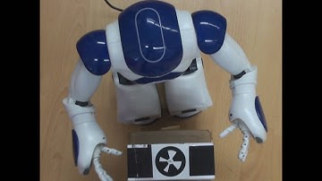 Nao grasp object