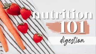 DIGESTION: THE BASICS | Nutrition 101 Ep. 2