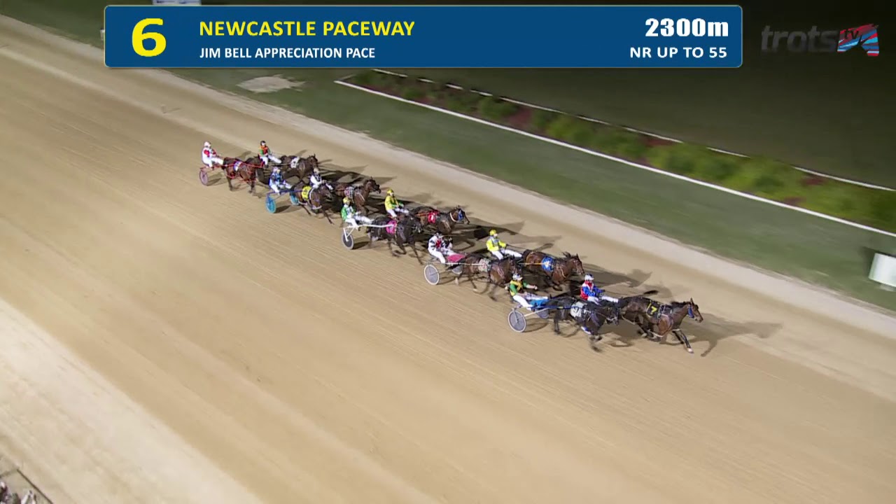 NEWCASTLE - 19/10/2019 - Race 6 - JIM BELL APPRECIATION PACE