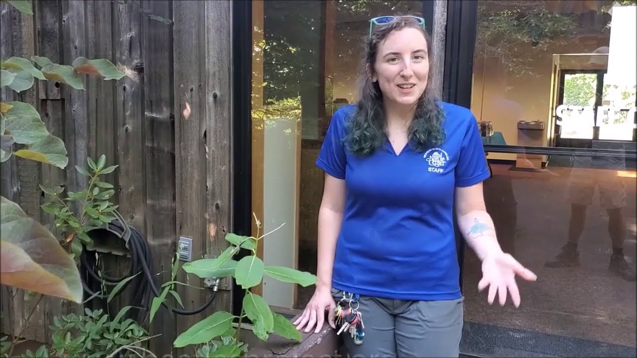 Observations in Nature