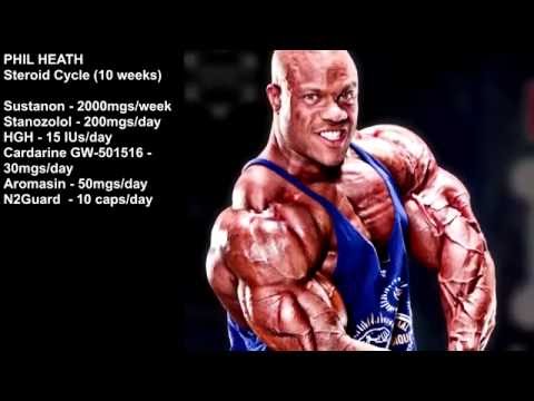 Pro Bodybuilders Cycles