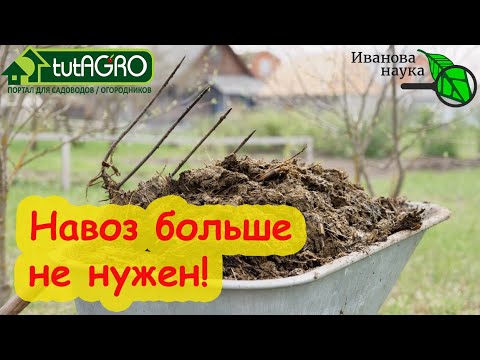 Видео: Когда были открыты эндофиты?