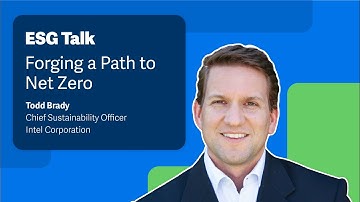 Forging a Path to Net Zero