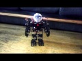 15 dof robot with EZ-B