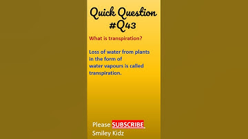 What is Transpiration? #shorts #ytshorts