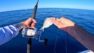 The FINAL Day!! Self Guiding Success Fishing In The Florida Keys | Episode 3 by FishAholic Fishing 23,262 views 10 days ago 27 minutes