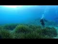 Underwater Sardinia (360 5.6K video) 360bubble Max for GoPro Max