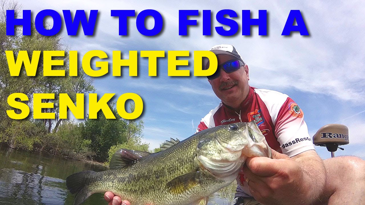 How To Fish Texas Rigged Senkos, Video