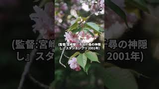 心に響くジブリの言葉!落ち込んだ時に頑張れるパワーをもらえる名言集