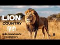 Lion amazing facts in hindi 2024