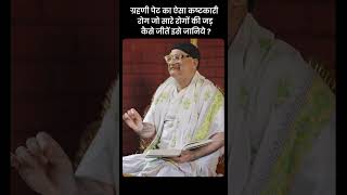 ग्रहणी पेट का ऐसा कष्टकारी रोग जो सारे रोगों की जड़- कैसे जीतें इसे जानिये ?