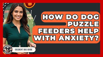 How Do Dog Puzzle Feeders Help With Anxiety? - Obedient Dog Guide